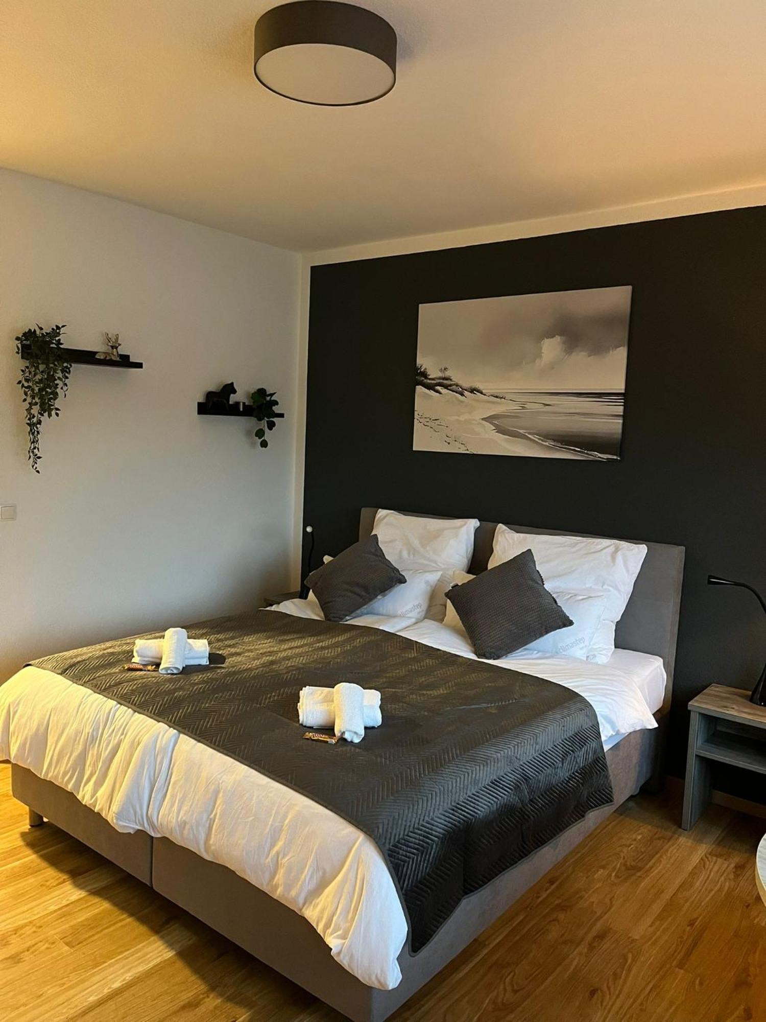 Rheinpanorama Suite Mit Balkon كوبلنس المظهر الخارجي الصورة